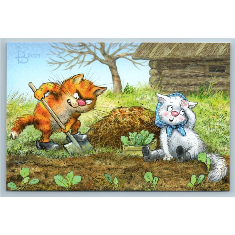 FUNNY CATS in Garden Tired Gardeners Seedling Country house Russian New Postcard