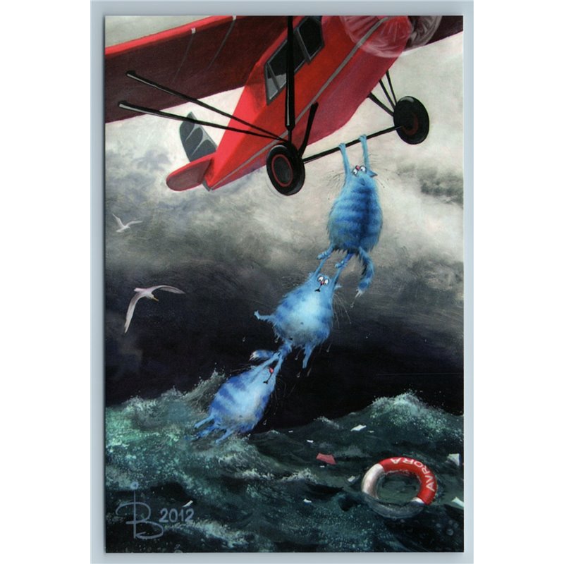 CATS Sea miraculous rescue after shipwreck Airplane Funny Russian New Postcard