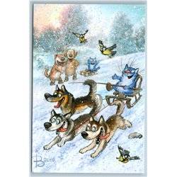 CAT sled RACE Dog sledding team Far North Snow Winter Russian New Postcard