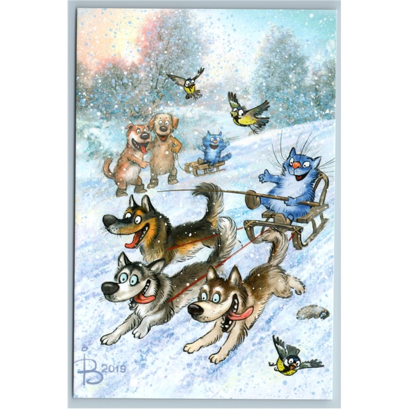 CAT sled RACE Dog sledding team Far North Snow Winter Russian New Postcard