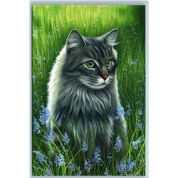 GRAY CAT Green Eyes in Meadow Summer Botanical Flower Russian New Postcard