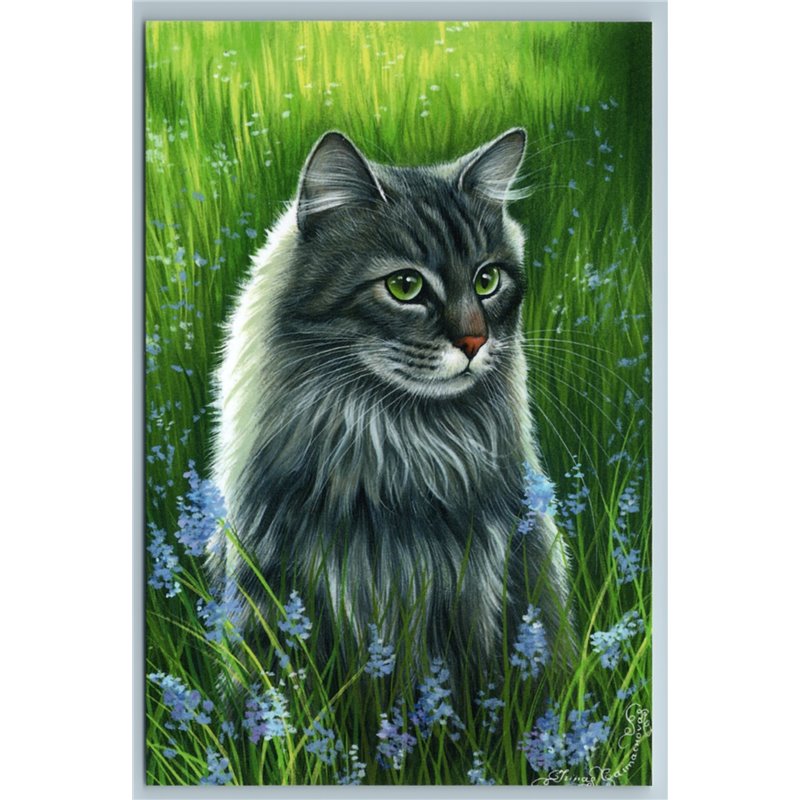 GRAY CAT Green Eyes in Meadow Summer Botanical Flower Russian New Postcard