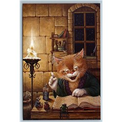 RED CAT read Book to Mouse Mice Candle Window Fantasy Russian New Postcard