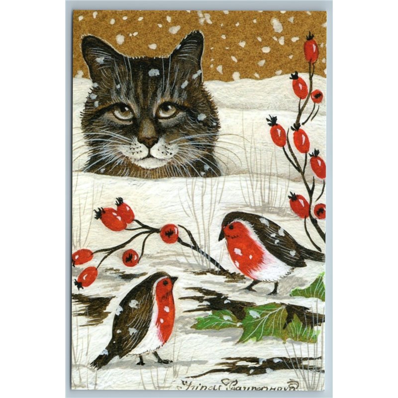 BROODING CAT watches Birds Bullfinches Rosehip Berries Snow Winter New Postcard