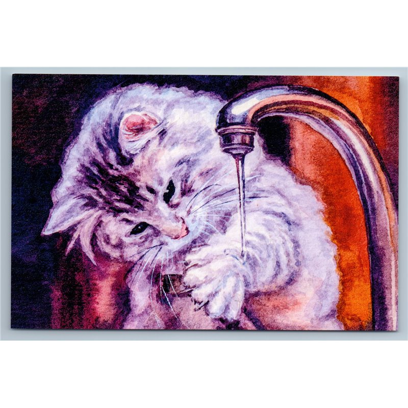 FUNNY CAT playing with tap water Washing Russian New Postcard