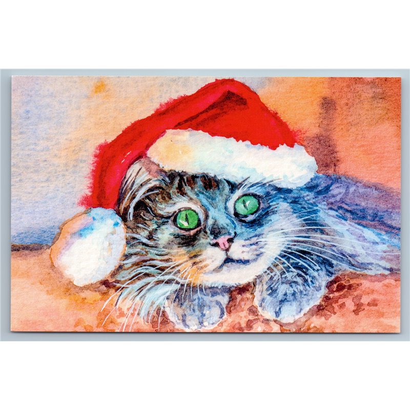 CHRISTMAS CAT with green eyes Santa hat Holiday Animal Russian New Postcard