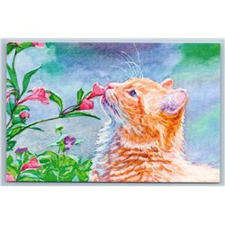 GINGER CAT sniffing flowers in Garden Smell of Summer Russian New Postcard