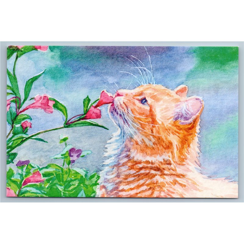 GINGER CAT sniffing flowers in Garden Smell of Summer Russian New Postcard