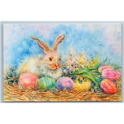 EASTER BUNNY RABBIT Hare Eggs Mimosa Tulips Still Life Russian New Postcard