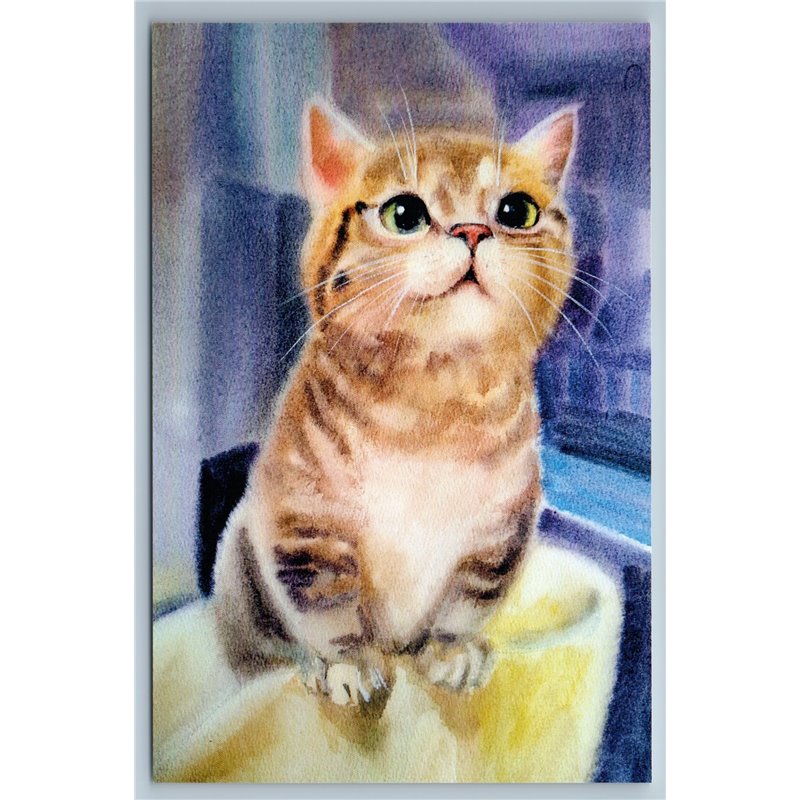 FUNNY CURIOUS CAT with a squint What's there Art Russian New Postcard