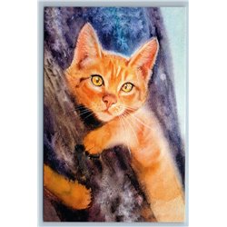 GINGER CAT on a tree Amber Eyes Observer Art Russian New Postcard