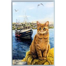 FISHERMANS CAT on pier Sea Boat Ship Seagulls Assistant Russian New Postcard