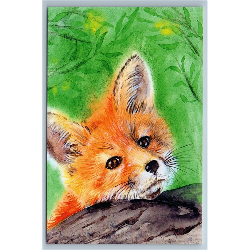 CUTE RED FOX looks at you Green Forest Animal Russian New Postcard