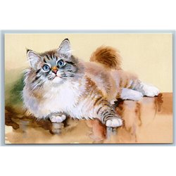 FLUFFY CAT beauty with blue eyes by Starovoitova New Postcard