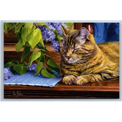 TABBY CAT is napping on table Lilac Flowers by Bilodeau New Postcard