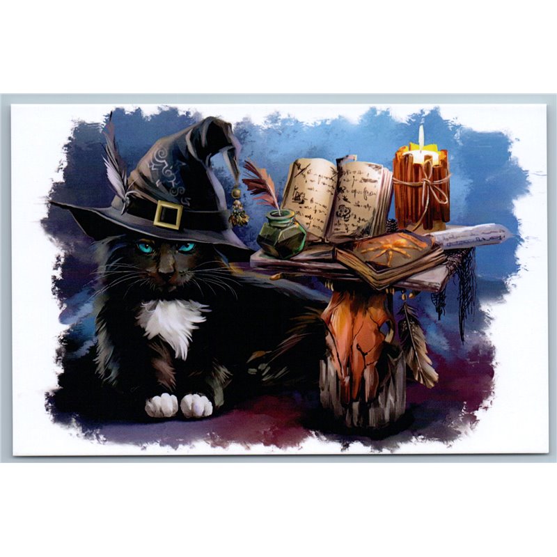 BLACK CAT Witch as Magician Spell Book Funny Russian New Postcard