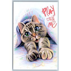 CUTE CAT KITTEN under the blanket Play with me New Postcard