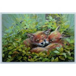 RED FOXES little sister in Forest blueberries by Nepriyatel Russian New Postcard