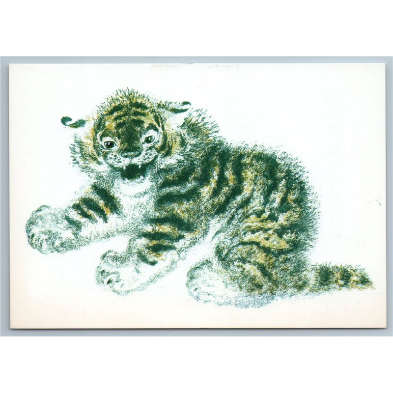 1989 LITTLE TIGER CUB by Charushin Ill. Soviet USSR Postcard