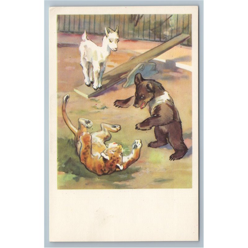 1969 BROWN BEAR GOAT LEOPARD Baby in ZOO Ill. Soviet USSR Postcard