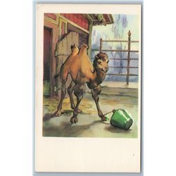 1969 CUTE BABY CAMEL Wild Animal in ZOO Ill. Soviet USSR Postcard