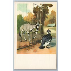 1969 WILD GOAT and EAGLE Bird Wild Animal in ZOO Ill. Soviet USSR Postcard
